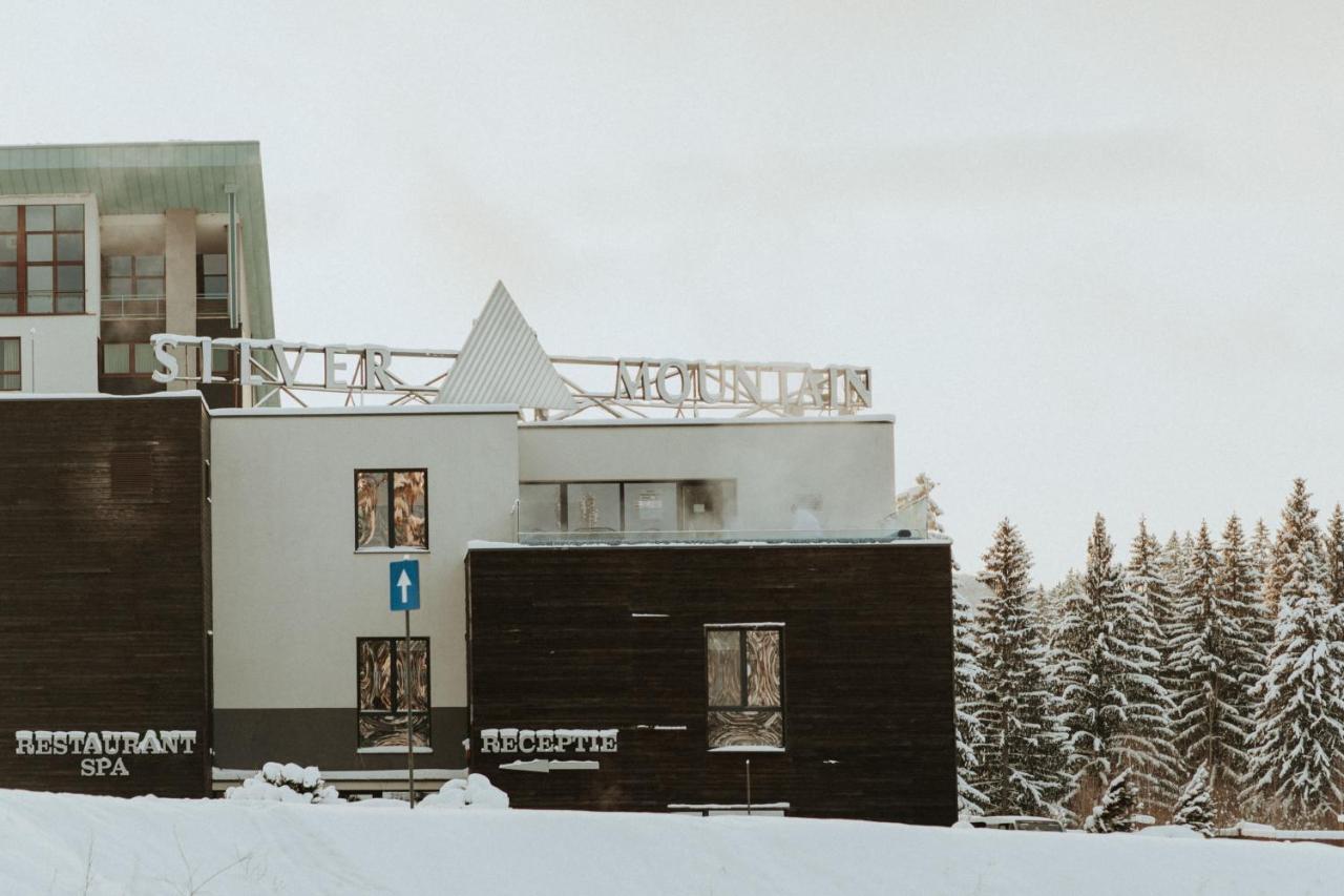 Silver Pine Apartment Brassópojána Kültér fotó
